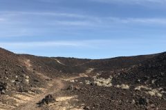 IMG_8549