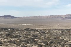 IMG_8565