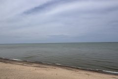 IMG_3071