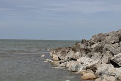 IMG_3097