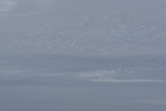 IMG_3098