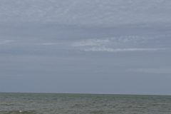 IMG_3099